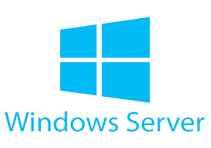 Windows server management