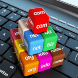 Domain Registration